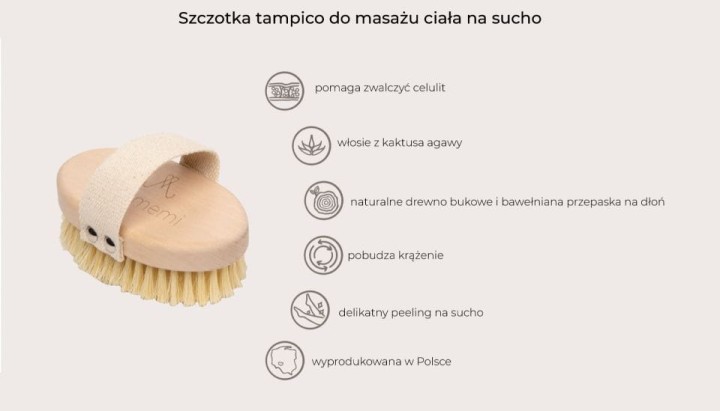infografika szczotka tampico do masazu ciala na sucho