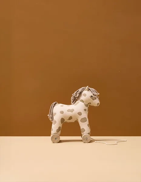 konik-do-ciagniecia-dotty-aiden-na-tle