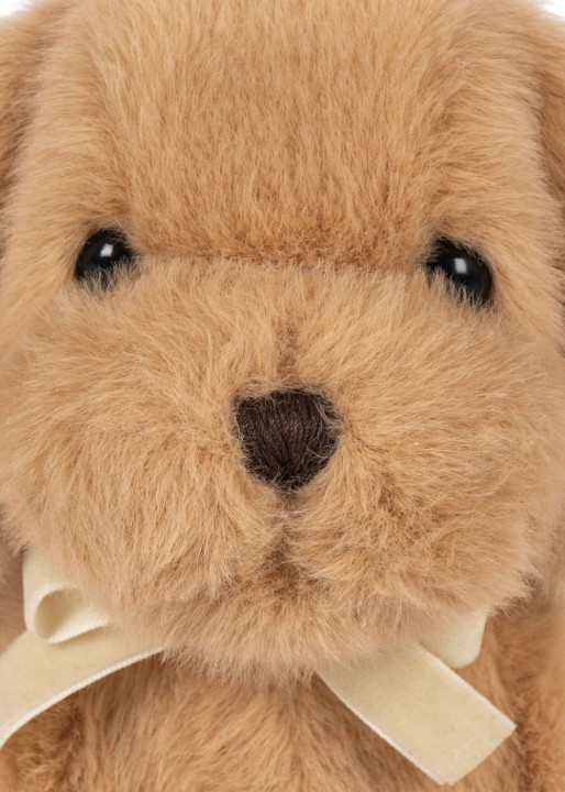 Twarz pieska Konges Sløjd Walking Dog