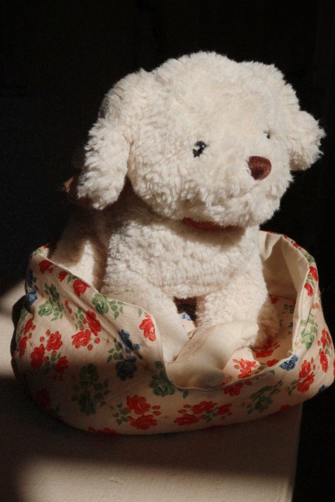 Zabawa w opiekę nad pieskiem – pluszowy piesek Konges Sløjd