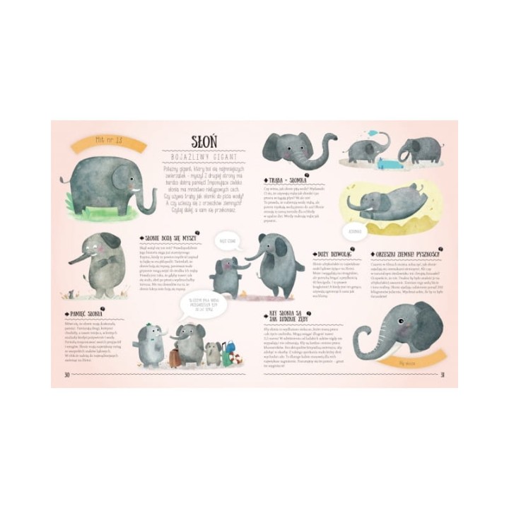 niesamowita-natura-mity-i-stereotypy-ksiazka-pavla-hanackova (3).jpg