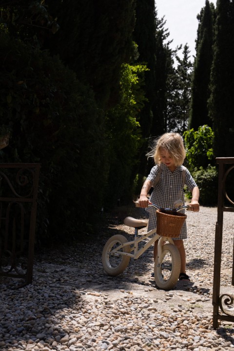 rower-rownowazny-12-z-koszykiem-lemon-koszyk