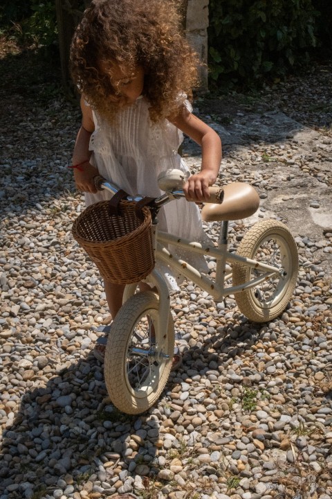 rower-rownowazny-12-z-koszykiem-lemon-detal