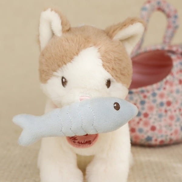 kot-marley-w-torbie-zblizenie