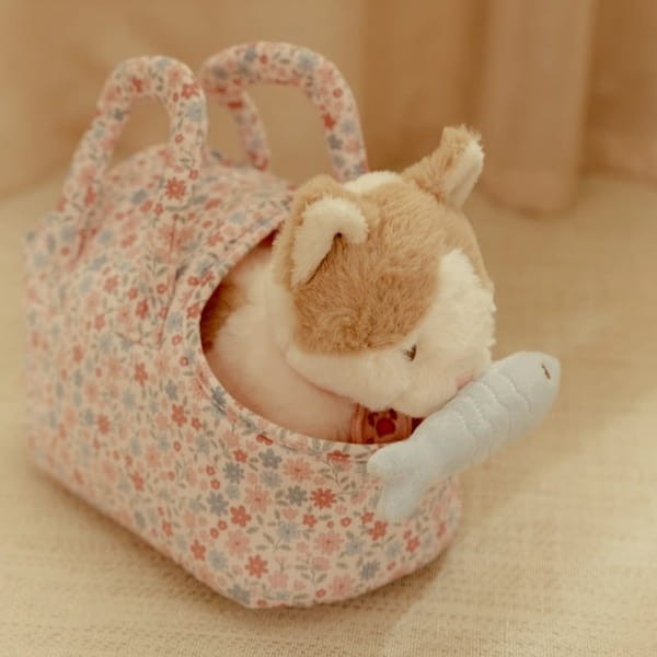 kot-marley-w-torbie-przod