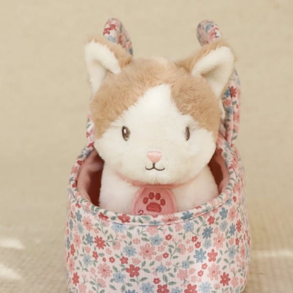 kot-marley-w-torbie-tyl