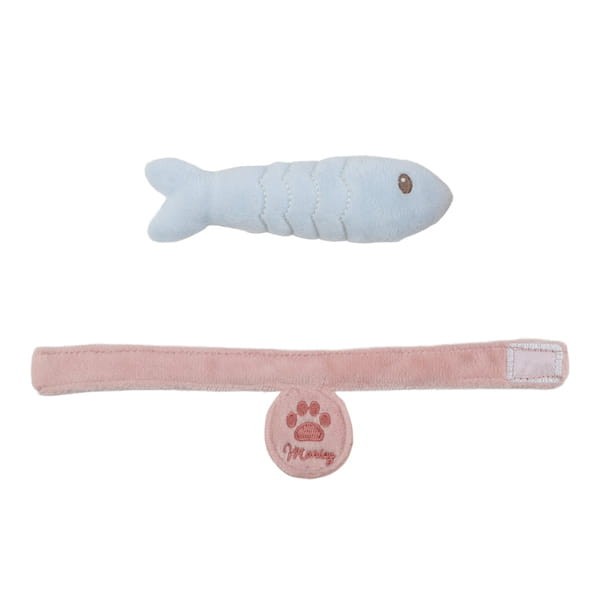 kot-marley-w-torbie-karta-2