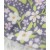 Kwieciste uszy króliczka Jellycat Blossom Silver Bunny Bloom