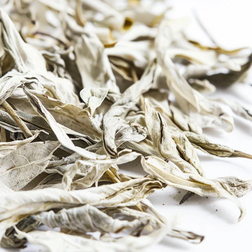 silent-vanilla-biala-herbata-zblizenie