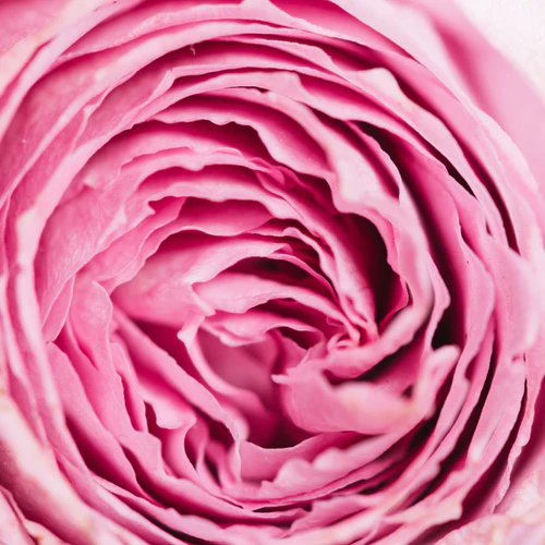 rose-salt-sol-do-kapieli-opakowanie