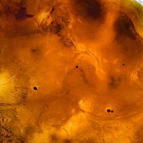 il-neige-pomaranczowa-sol-zblizenie