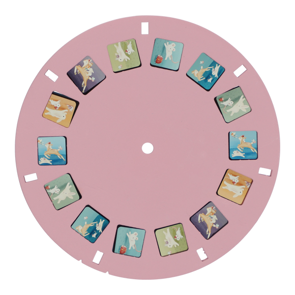 dyski-do-projektora-fairy-garden-3