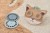 detal-projektora-lisek-forest-friends-4