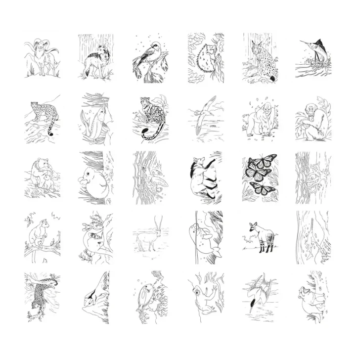 kidywolf-kidydraw-pad-animals-ilustracje-do-odrysowywania