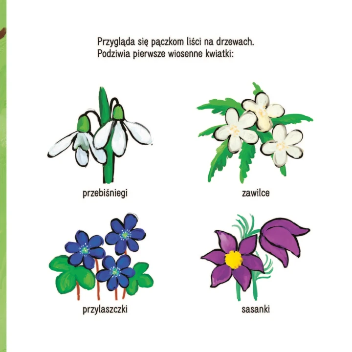 kicia-kocia-wiosna-srodek-3