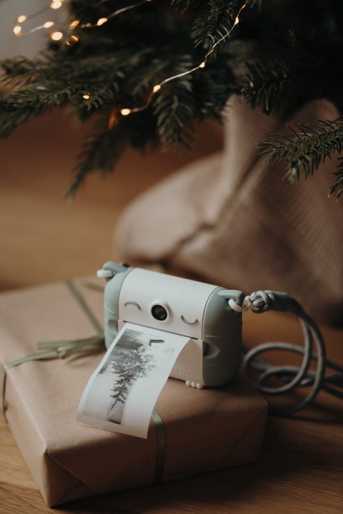 Kidywolf KIDYPRINT dziecko uzywa aparatu