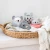 rocking-rollers-koala-tiger-tribe-seria