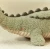 little-dutch-zielona-przytulanka-krokodyl-safari-friends-grs-bok.webp