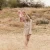 little-dutch-przytulanka-flaming-safari-friends-grs-spacer.webp