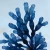 niebieska-alga-someone-new-body-oil