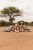 safari-friends-little-dutch-plener