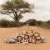zestaw-przytulanek-safari-friends-little-dutch