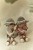 laleczki-safari-friends-little-dutch