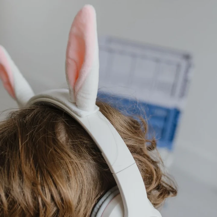 KIDYWOLF KIDYEARS Rabbit – magnetyczne uszy królika na pałąku