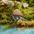 Figurki dinozaurów w zielonej prehistorycznej scenerii nad wodą
