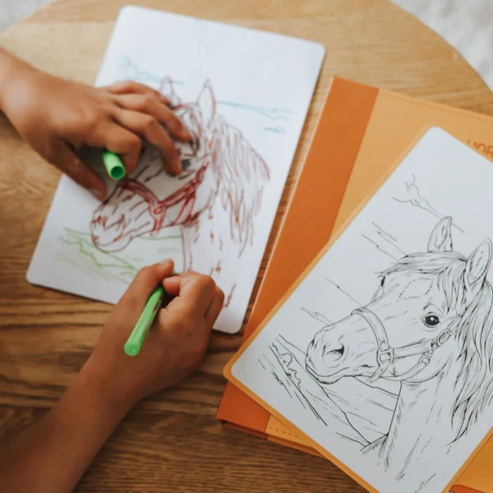 kidydraw-pad-horses-kolorowanie-konia