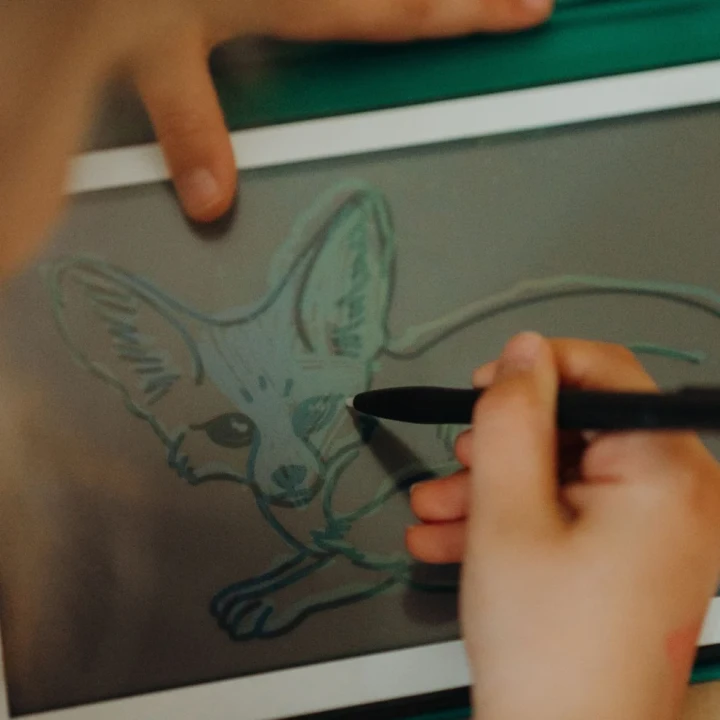 KIDYWOLF KIDYDRAW-MINI odrysowywanie fenka przez dziecko