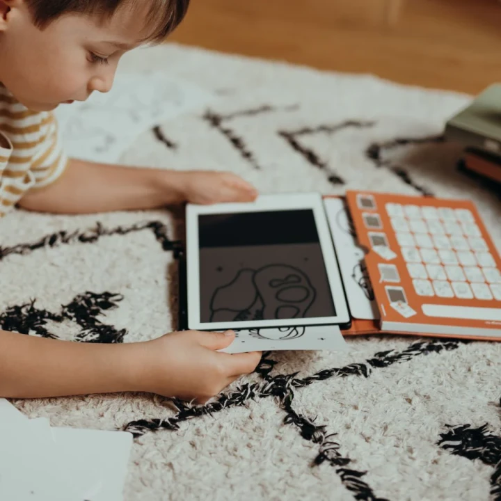 KIDYWOLF KIDYDRAW-MINI sposób umieszczania karty z dinozaurem w tablecie do rysowania