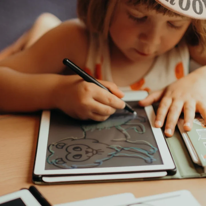 KIDYDRAW-MINI odrysowywanie zwierząt na ekranie LCD