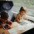 Wspólne rysowanie na tablecie KIDYDRAW MINI Animals podczas zabawy w domu