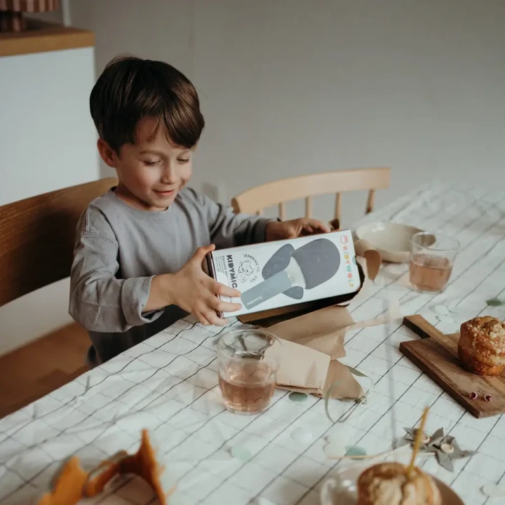 mikrofon-karaoke-z-efektami-led-i-zmiana-glosu-kidymic-niebieski-uzycie-3