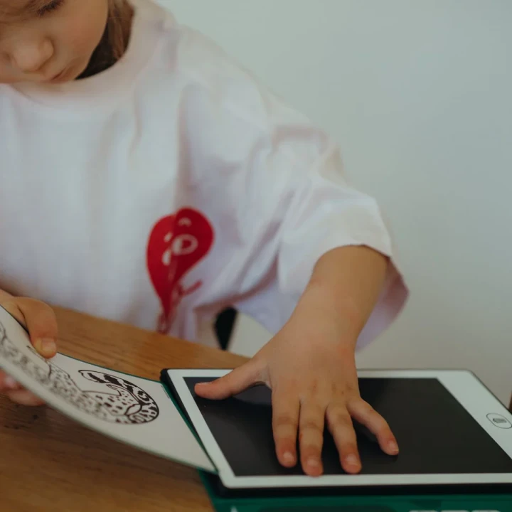Zbliżenie na rysowanie na ekranie LCD tabletu KIDYDRAW MINI Animals Around the World