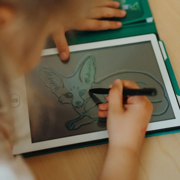Rysowanie rysikiem na zielonym tablecie LCD KIDYDRAW MINI dla dzieci