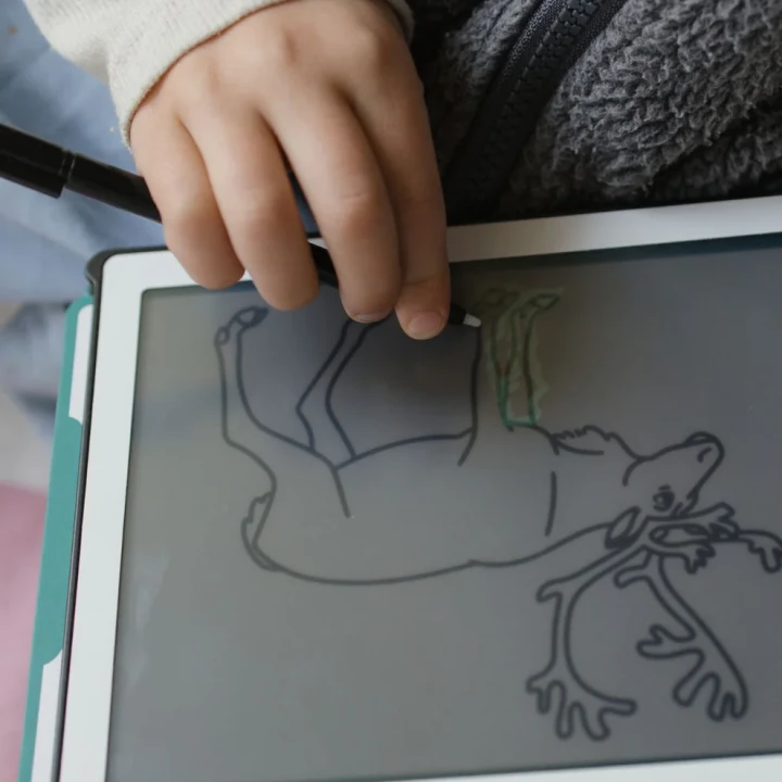 Zbliżenie na rysik i ekran tabletu KIDYDRAW MINI Animals Around the World