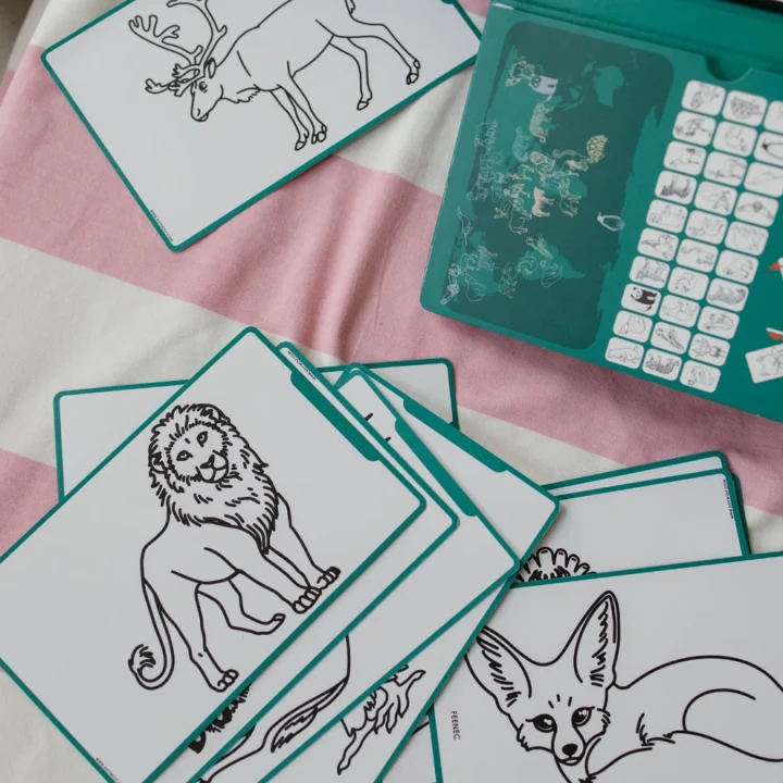 Karty z ilustracjami zwierząt świata i zielony tablet KIDYDRAW MINI