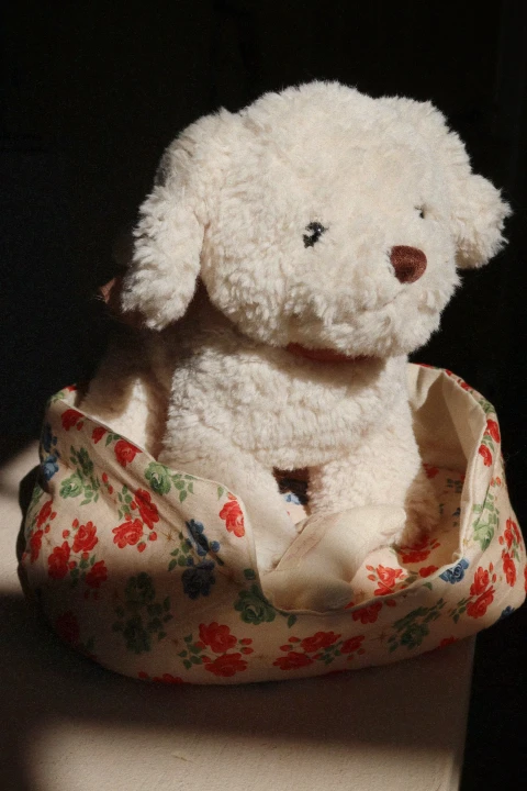 Konges Sløjd Madeleine Puppy Fiola zestaw z legowiskiem