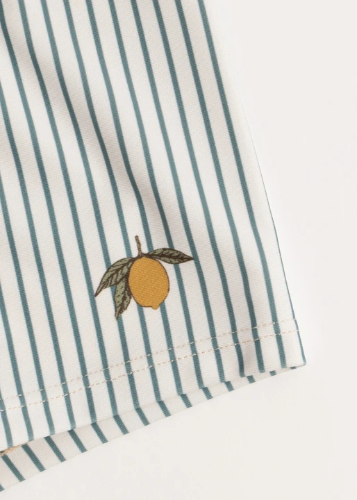 Aster Tea Stripe detal motywu cytryny na szortach kąpielowych
