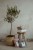 kocyk-merino-pearl-powder-pink-aranzacja-4
