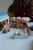 Elise Tiny Teddy – miniaturowy miś Konges Sløjd podczas zabawy